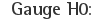 Gauge H0: