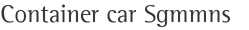 Container car Sgmmns
