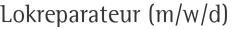 Lokreparateur (m/w/d)