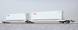 36543 - Pocket-wagon, Container OOLU 818584 + OOLU 977307, DC